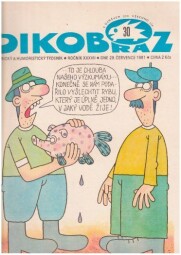 DIKOBRAZ 30,  29. července 1981